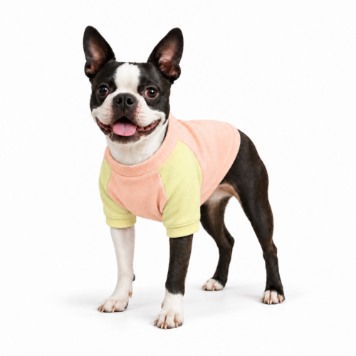 Mikina pro psa MAZIMO sweatshirt - Letní slunce