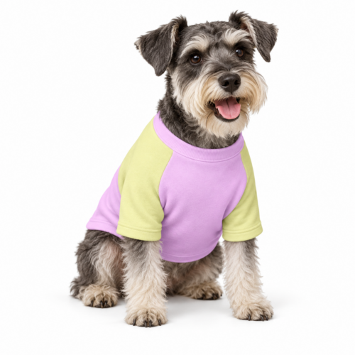 Mikina pro psa MAZIMO sweatshirt - Borůvková zmrzlina