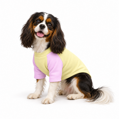 Mikina pro psa MAZIMO sweatshirt - Levandulová zmrzlina