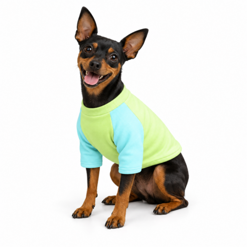 Mikina pro psa MAZIMO sweatshirt - Mátový vánek