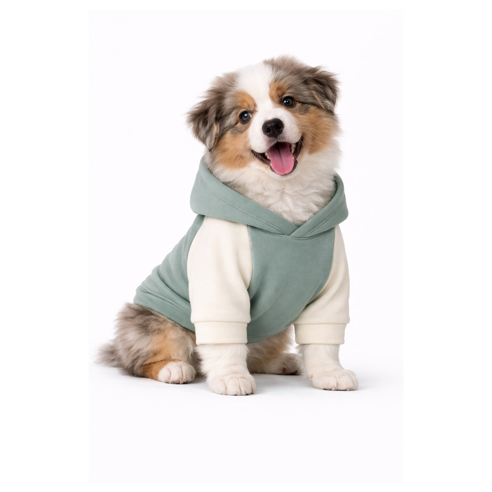 Mikina pro psa WARMKEEPER - Šedo-zelená/Ecru